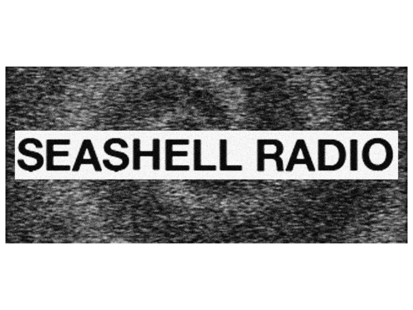 Seashell Radio